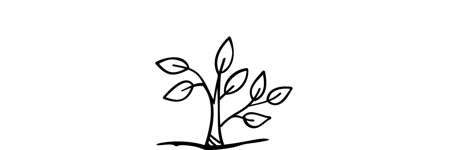 MW_D42